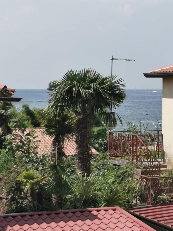 App Palcic K Apartment Новиград Екстериор снимка