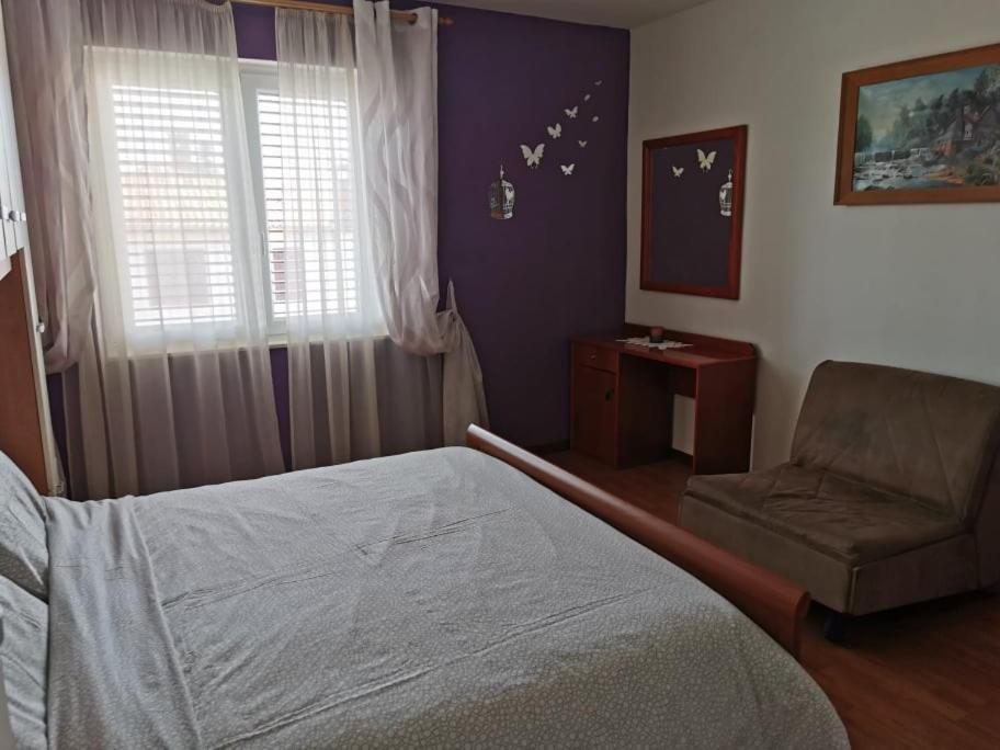 App Palcic K Apartment Новиград Екстериор снимка