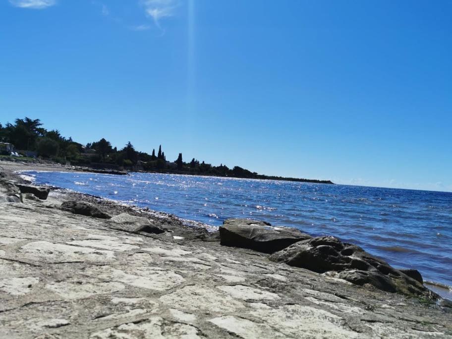 App Palcic K Apartment Новиград Екстериор снимка