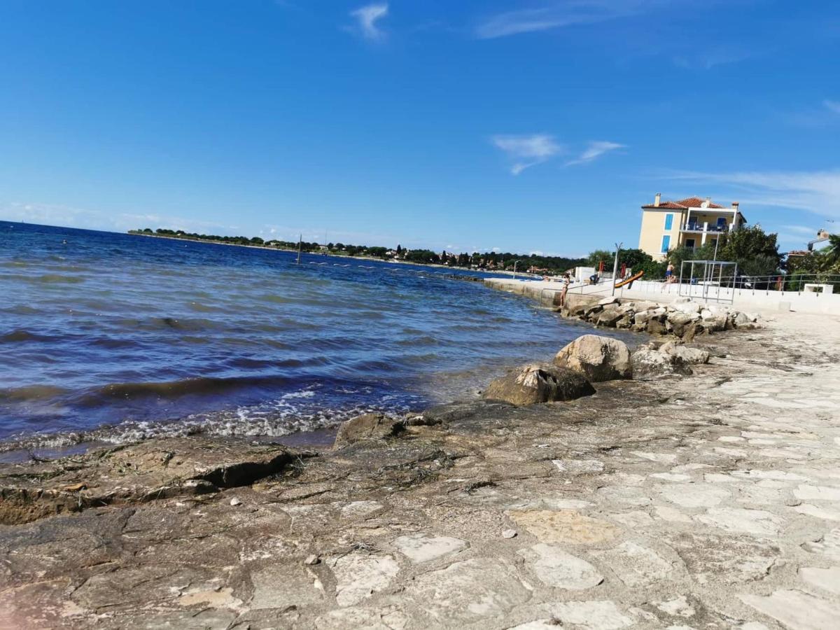App Palcic K Apartment Новиград Екстериор снимка