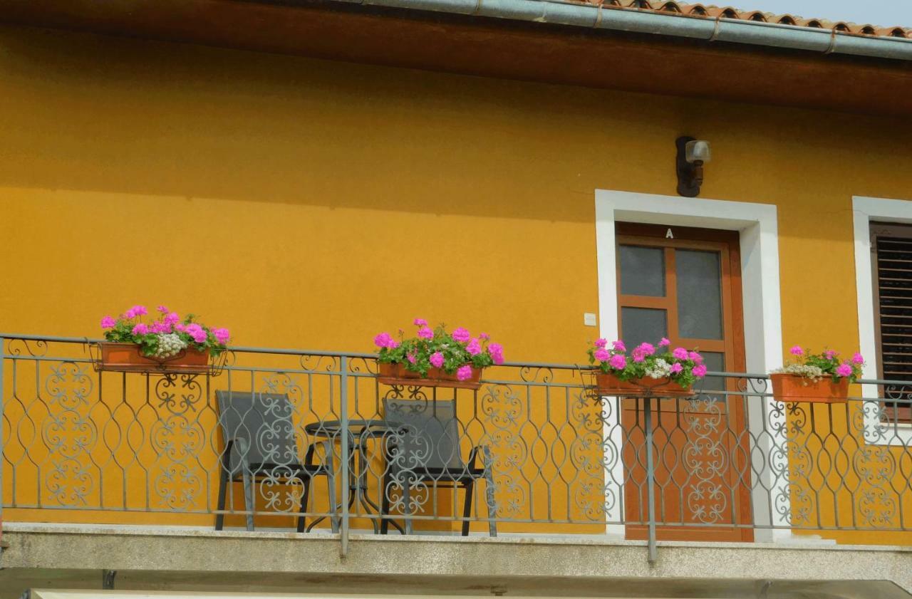 App Palcic K Apartment Новиград Екстериор снимка